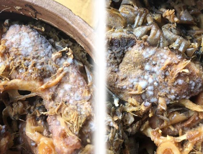 Nguyên nhân món cá kho làng Vũ Đại bị mốc – Hiểu đúng để không “oan” cho niêu cá